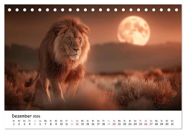 Produktbild: L&ouml;wen - Majest&auml;t der Wildnis (Tischkalender 2026 DIN A5 quer), CALVENDO Monatskalender