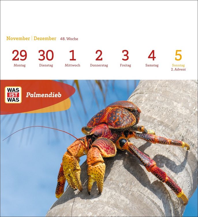 Produktbild: WAS IST WAS Geniale Tiere Postkartenkalender 2027 - Kalender mit 53 Sammelkarten