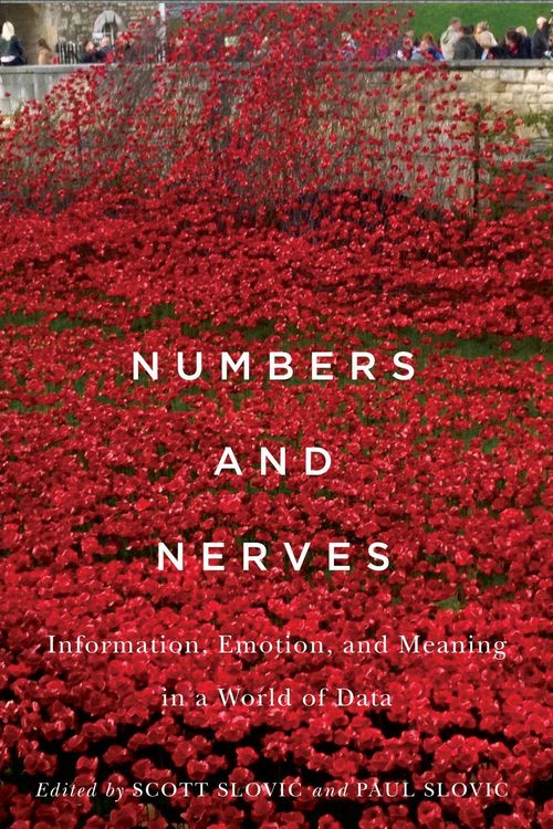 Produktbild: Numbers and Nerves