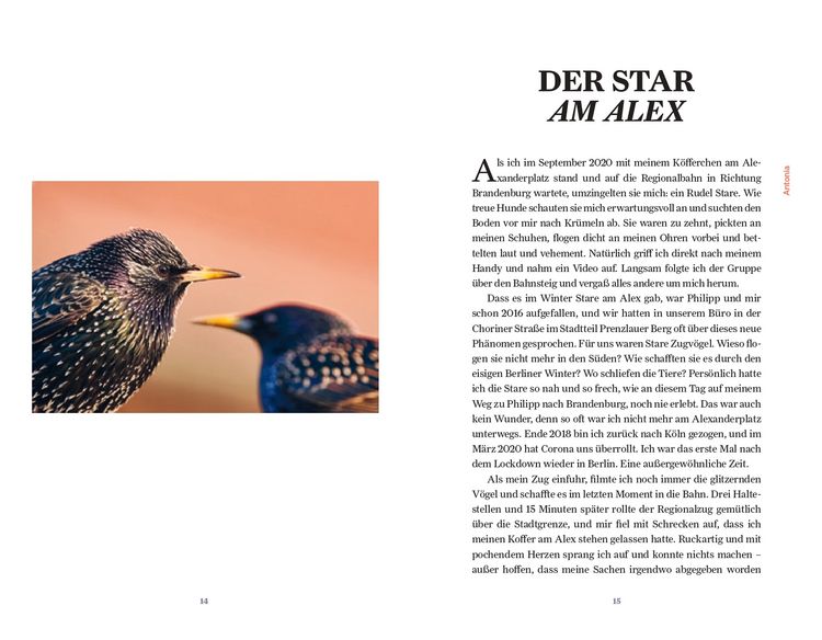 Produktbild: Unter Staren