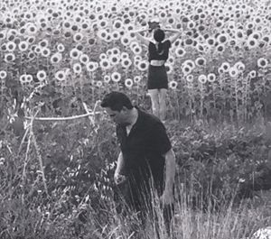 Produktbild: Jesu/Sun Kil Moon