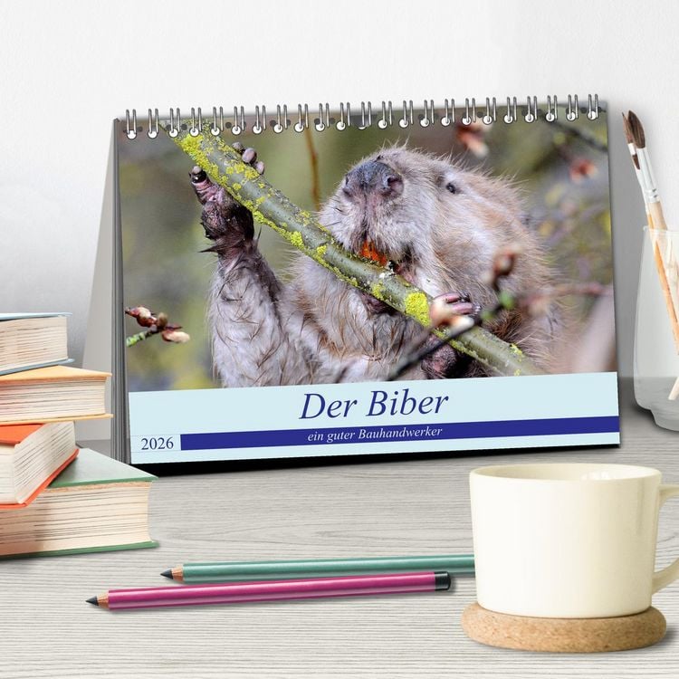 Produktbild: Der Biber, ein guter Bauhandwerker (Tischkalender 2026 DIN A5 quer), CALVENDO Monatskalender
