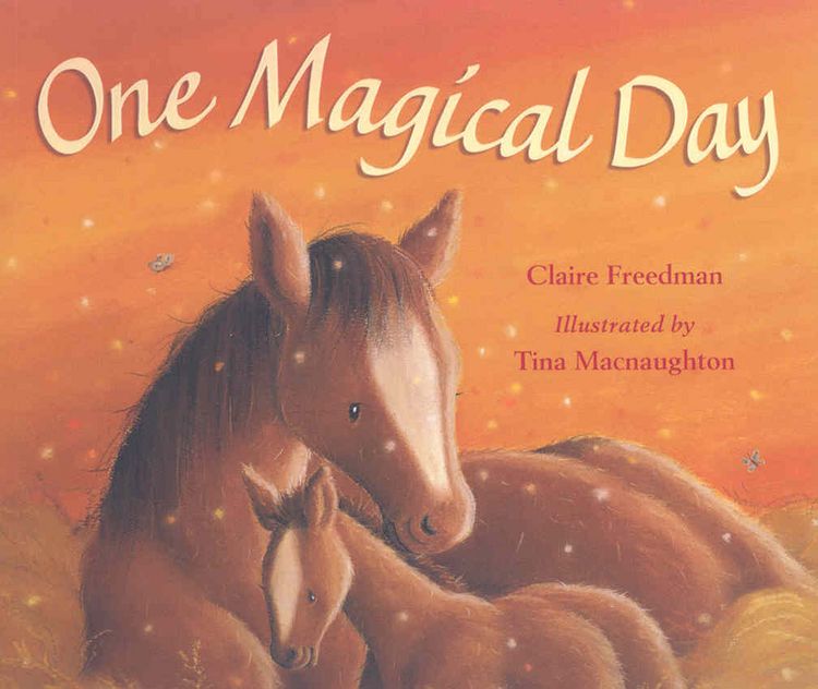 Produktbild: Freedman, C: One Magical Day