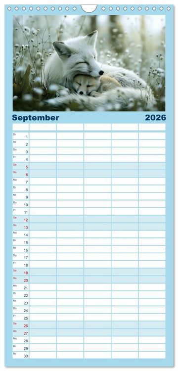 Produktbild: Familienplaner 2026 - Tierkinder des Nordens mit 5 Spalten (Wandkalender, 21 x 45 cm) CALVENDO