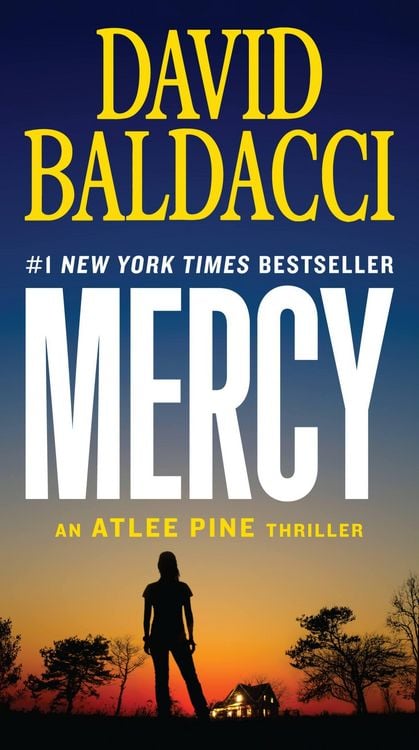 Bild vom Artikel Mercy vom Autor David Baldacci