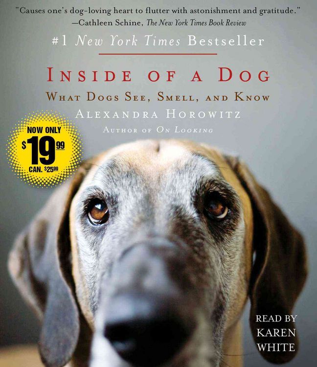 Produktbild: INSIDE OF A DOG             9D