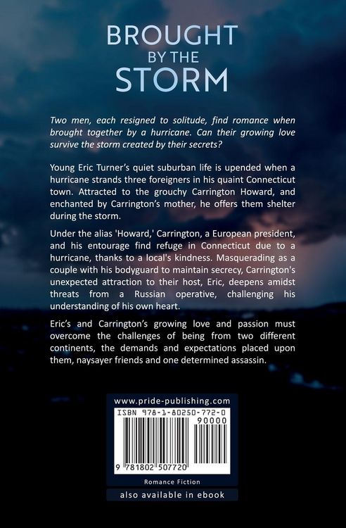 Produktbild: Brought by the Storm