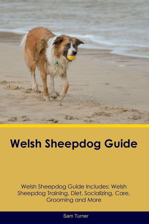Produktbild: Welsh Sheepdog Guide Welsh Sheepdog Guide Includes