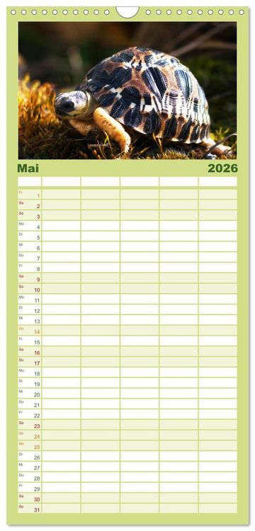 Produktbild: Familienplaner 2026 - Landschildkr&ouml;ten mit 5 Spalten (Wandkalender, 21 x 45 cm) CALVENDO