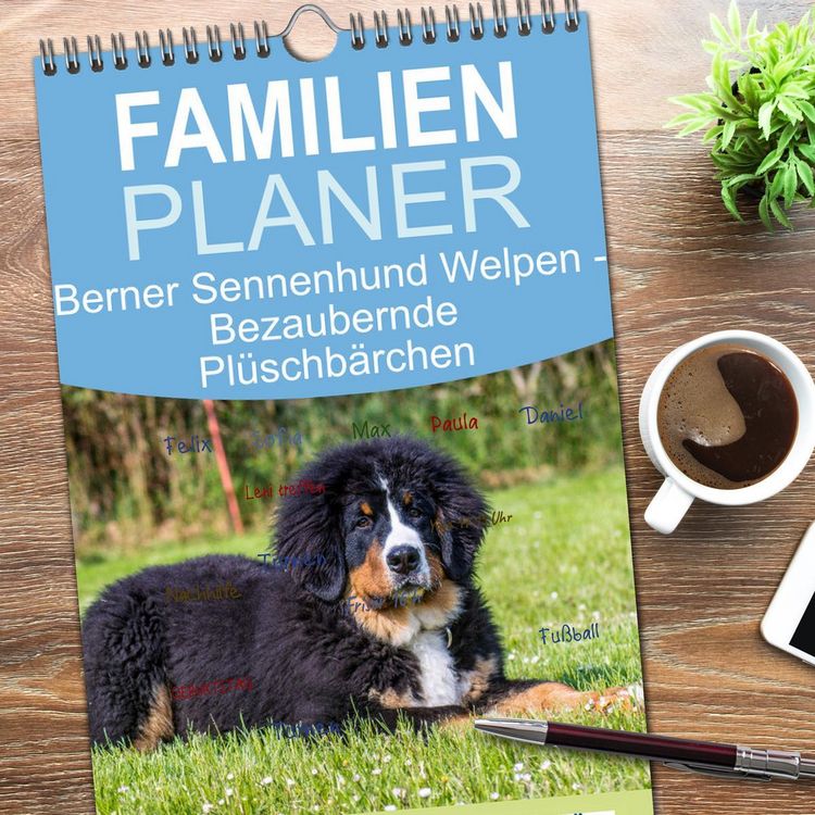 Produktbild: Familienplaner 2026 - Berner Sennenhund Welpen - Bezaubernde Pl&uuml;schb&auml;rchen mit 5 Spalten (Wandkalender, 21 x 45 cm) CALVENDO