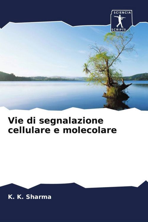 Produktbild: Vie di segnalazione cellulare e molecolare