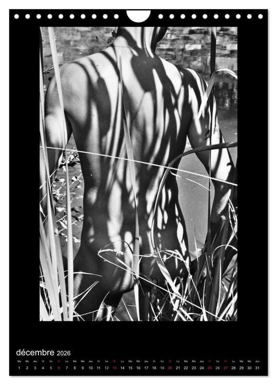 Produktbild: Au Masculin (Calendrier mural 2026 DIN A4 horizontal), CALVENDO calendrier mensuel