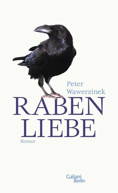 Produktbild: Rabenliebe
