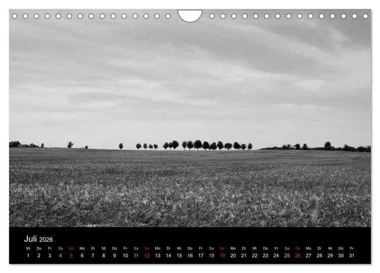 Produktbild: B&auml;ume trees 2026 (Wandkalender 2026 DIN A4 quer), CALVENDO Monatskalender