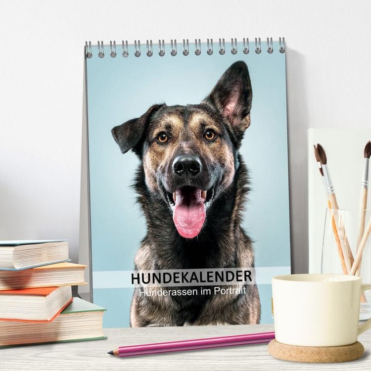 Produktbild: Hundekalender - Hunderassen im Portrait (Tischkalender 2026 DIN A5 hoch), CALVENDO Monatskalender