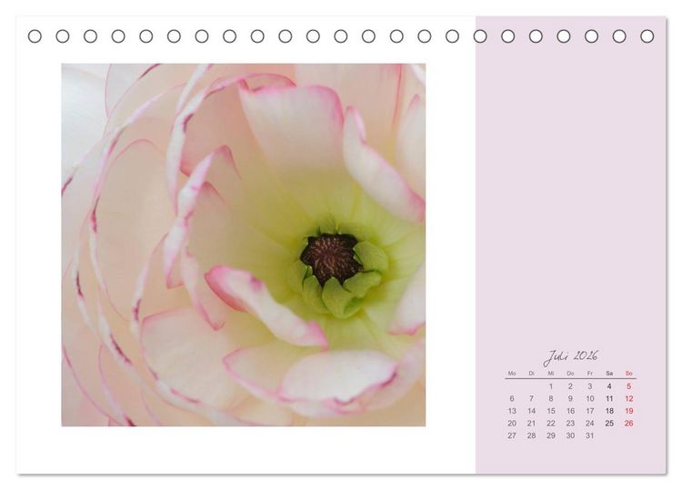 Produktbild: Bl&uuml;tentr&auml;ume (Tischkalender 2026 DIN A5 quer), CALVENDO Monatskalender