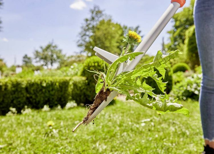 Produktbild: GARDENA combisystem Unkrauthacke 03518-20