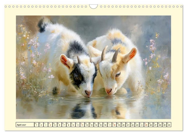 Produktbild: Zwergziegen. Kleine Wirbelwinde im Sonnenschein (Wandkalender 2027 DIN A3 quer), CALVENDO Monatskalender
