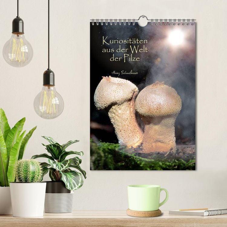 Produktbild: Kuriosit&auml;ten aus der Welt der Pilze (Wandkalender 2026 DIN A4 hoch), CALVENDO Monatskalender