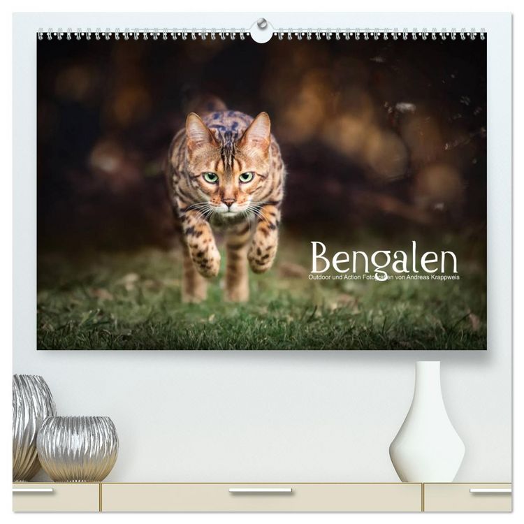 Produktbild: Bengalen Outdoor und Action (hochwertiger Premium Wandkalender 2026 DIN A2 quer), Kunstdruck in Hochglanz