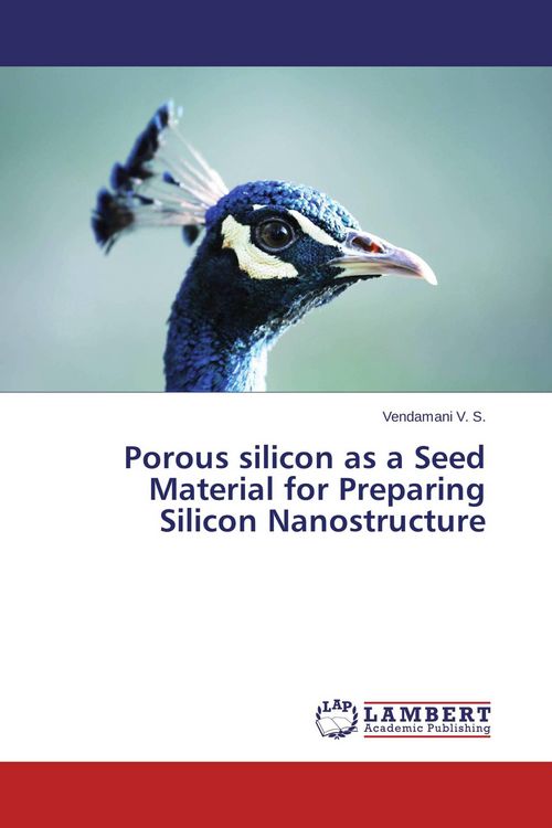Produktbild: Porous silicon as a Seed Material for Preparing Silicon Nanostructure