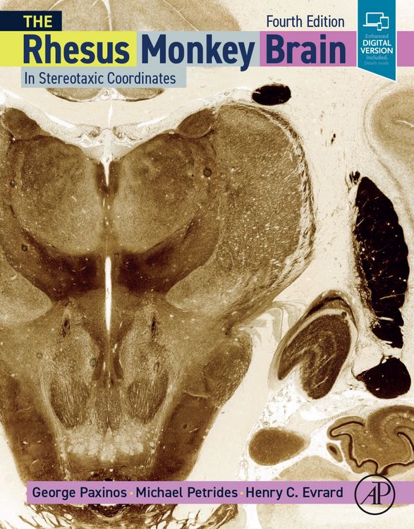Produktbild: The Rhesus Monkey Brain in Stereotaxic Coordinates