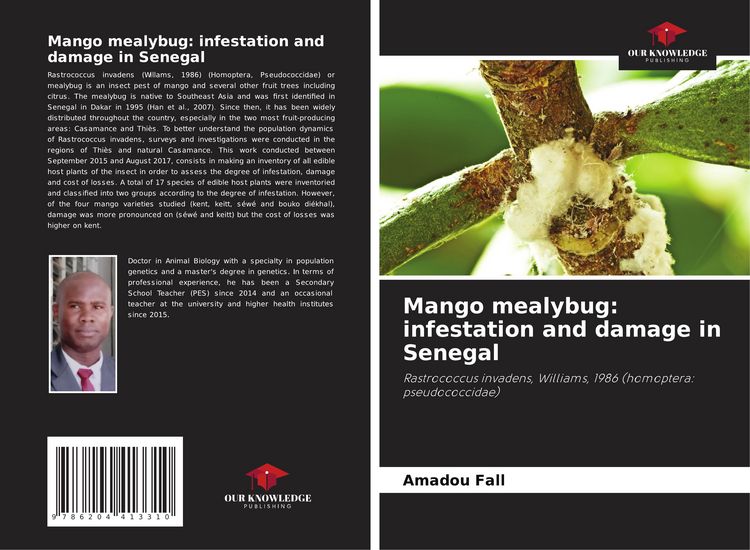 Produktbild: Mango mealybug: infestation and damage in Senegal