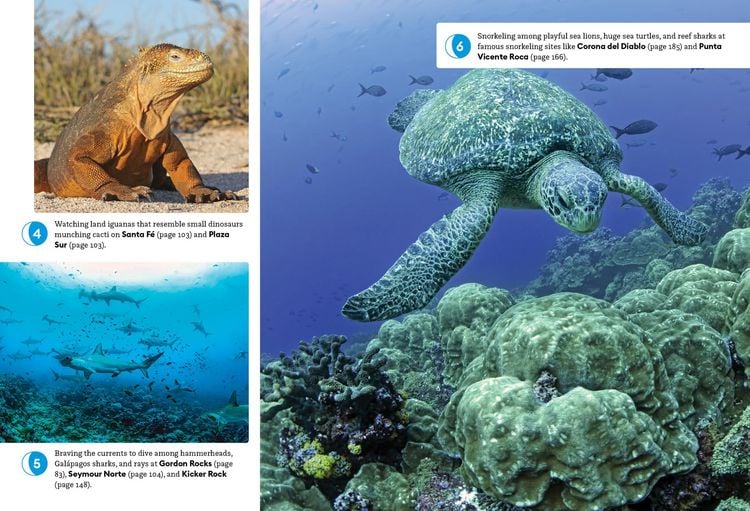 Produktbild: Moon Gal&aacute;pagos Islands (Fifth Edition)