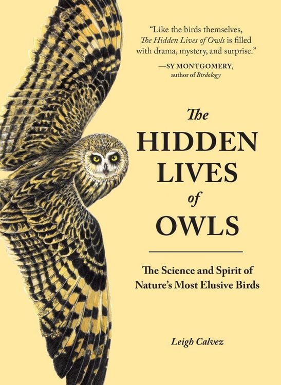 Produktbild: The Hidden Lives of Owls