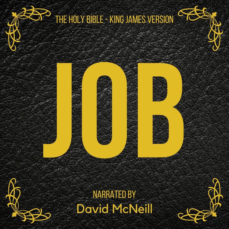 Produktbild: The Holy Bible - Job
