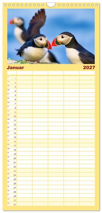 Produktbild: Familienplaner 2027 - Tieftaucher Papageitaucher mit 5 Spalten (Wandkalender, 21 x 45 cm) CALVENDO