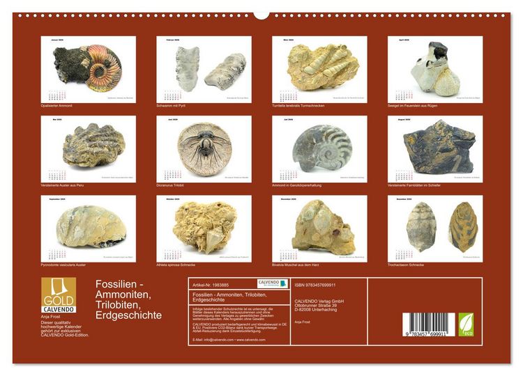 Produktbild: Fossilien - Ammoniten, Trilobiten, Erdgeschichte (hochwertiger Premium Wandkalender 2026 DIN A2 quer), Kunstdruck in Hochglanz