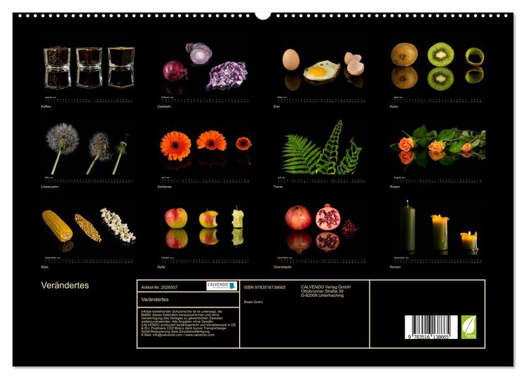 Produktbild: Ver&auml;ndertes (hochwertiger Premium Wandkalender 2026 DIN A2 quer), Kunstdruck in Hochglanz