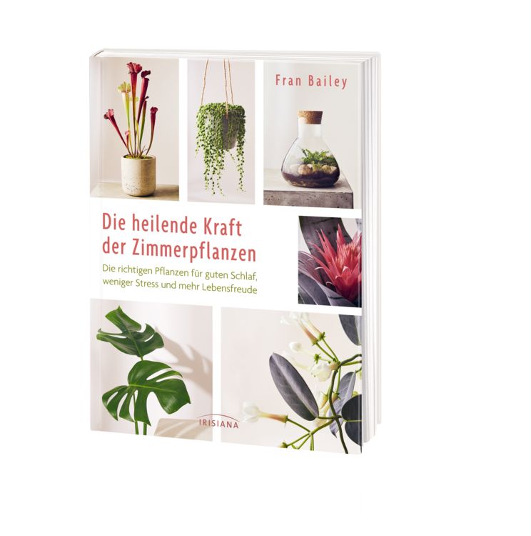 Produktbild: Die heilende Kraft der Zimmerpflanzen