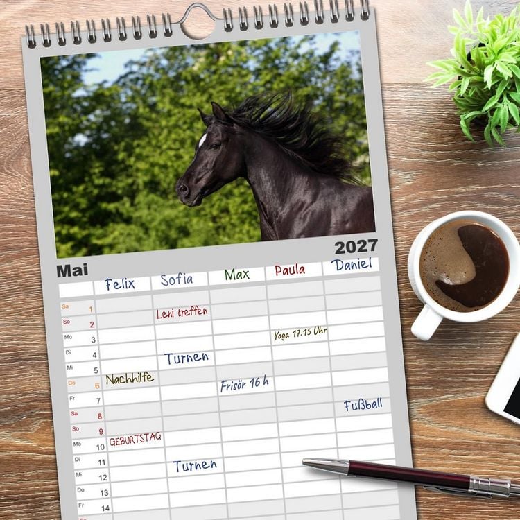 Produktbild: Familienplaner 2027 - Pferde - im Galopp durch's Jahr mit 5 Spalten (Wandkalender, 21 x 45 cm) CALVENDO