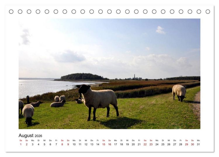 Produktbild: Fehmarn - Bewegende Momente (Tischkalender 2026 DIN A5 quer), CALVENDO Monatskalender