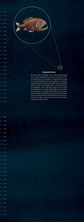 Produktbild: Hinab ins tiefe Blau