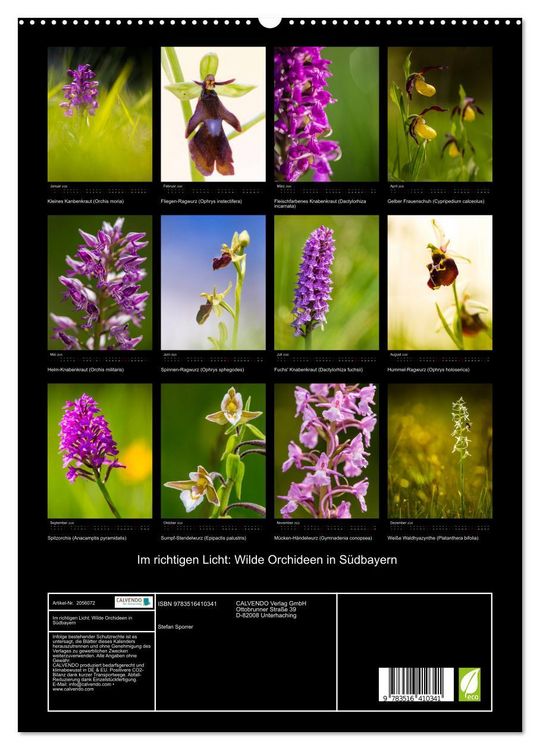 Produktbild: Im richtigen Licht: Wilde Orchideen in S&uuml;dbayern (hochwertiger Premium Wandkalender 2026 DIN A2 hoch), Kunstdruck in Hochglanz