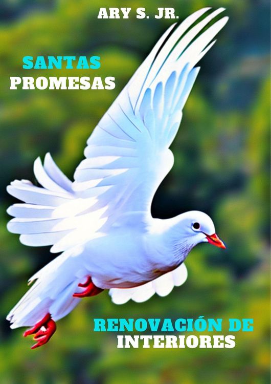 Produktbild: Santas Promesas: Renovaci&oacute;n de Interiores
