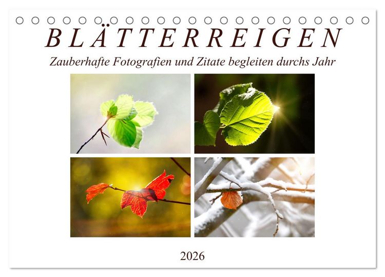 Produktbild: Bl&auml;tterreigen (Tischkalender 2026 DIN A5 quer), CALVENDO Monatskalender