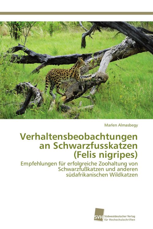 Produktbild: Verhaltensbeobachtungen an Schwarzfusskatzen (Felis nigripes)