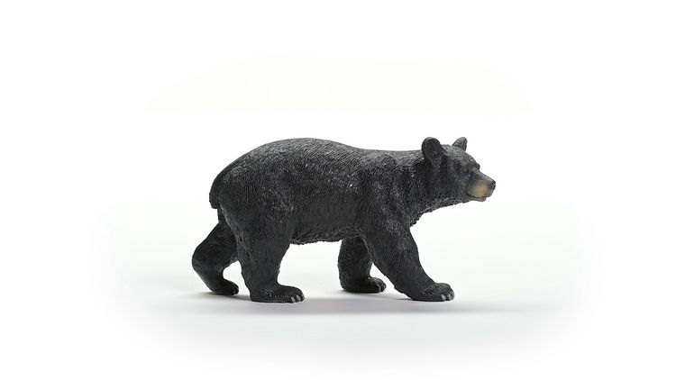Produktbild: schleich&reg; Wild Life Amerikanischer Schwarzb&auml;r 5,5cm
