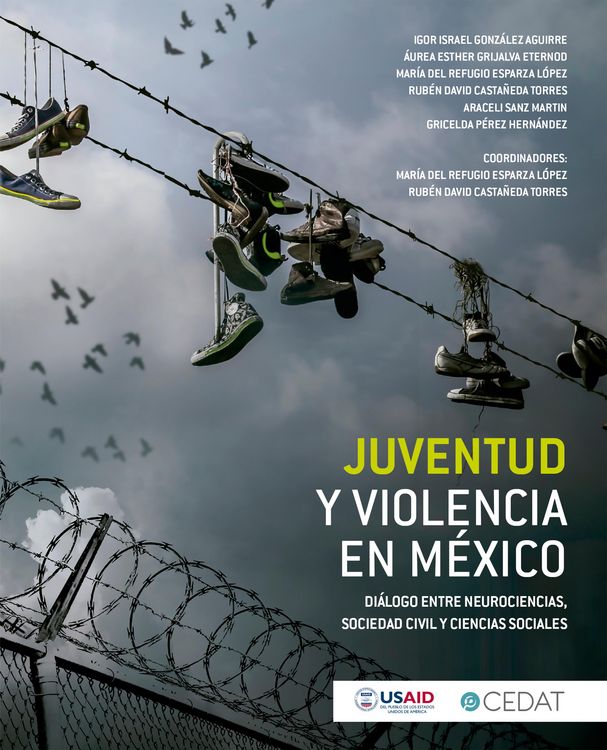 Produktbild: Juventud y violencia en M&eacute;xico