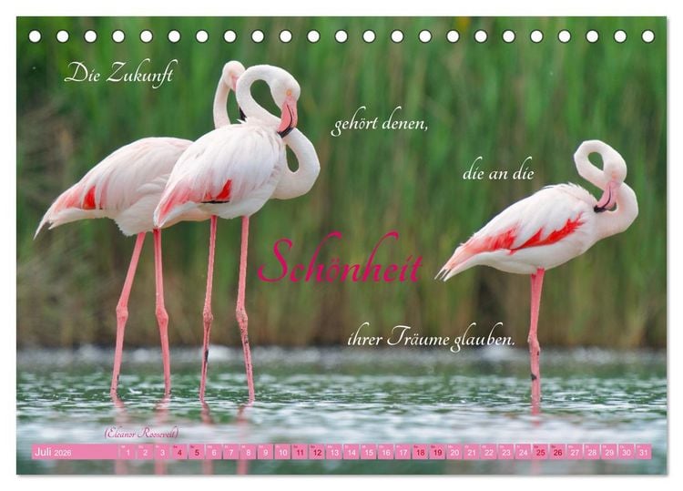 Produktbild: The Power Of Pink (Tischkalender 2026 DIN A5 quer), CALVENDO Monatskalender