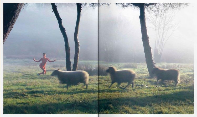 Produktbild: Animalia