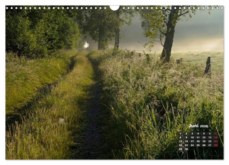 Produktbild: Die Dingdener Heide im Wandel der Jahreszeiten (Wandkalender 2026 DIN A3 quer), CALVENDO Monatskalender