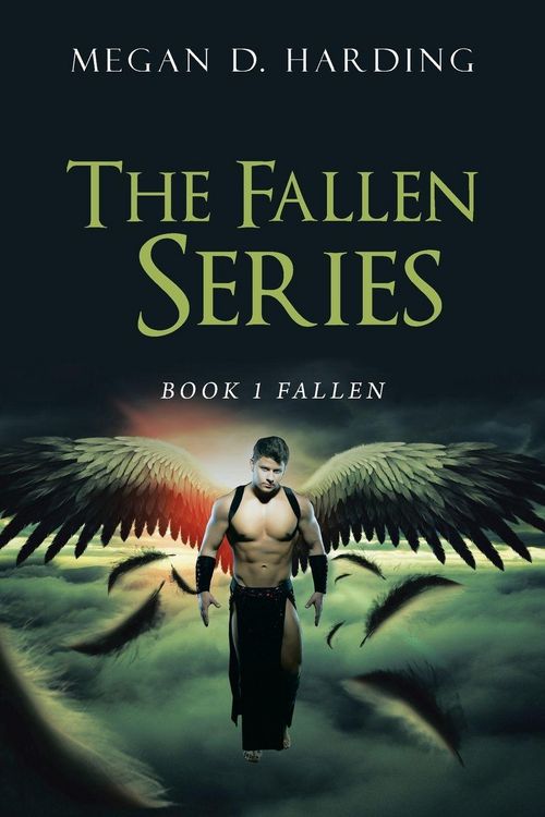 Produktbild: The Fallen Series