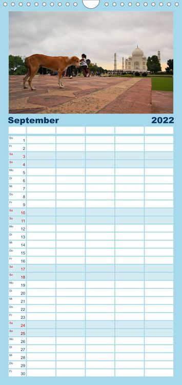 Produktbild: Familienplaner Hunde aus aller Welt (Wandkalender 2022 , 21 cm x 45 cm, hoch)