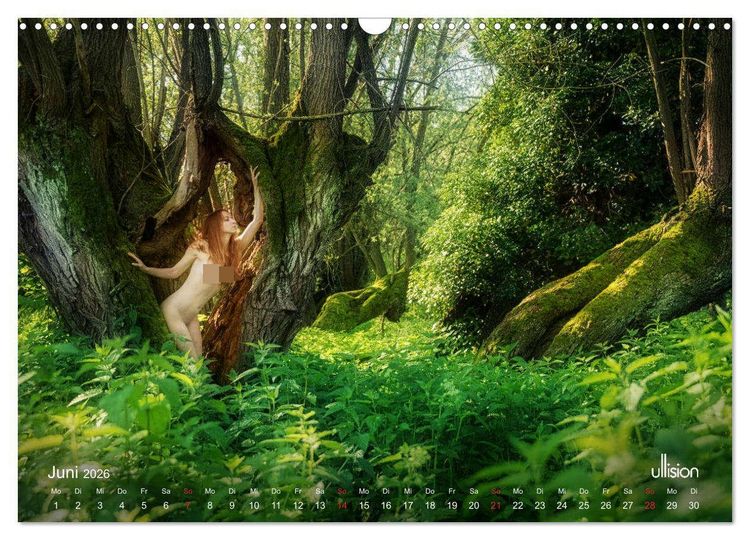 Produktbild: Lieblingsb&auml;ume - eins mit der Natur (Wandkalender 2026 DIN A3 quer), CALVENDO Monatskalender