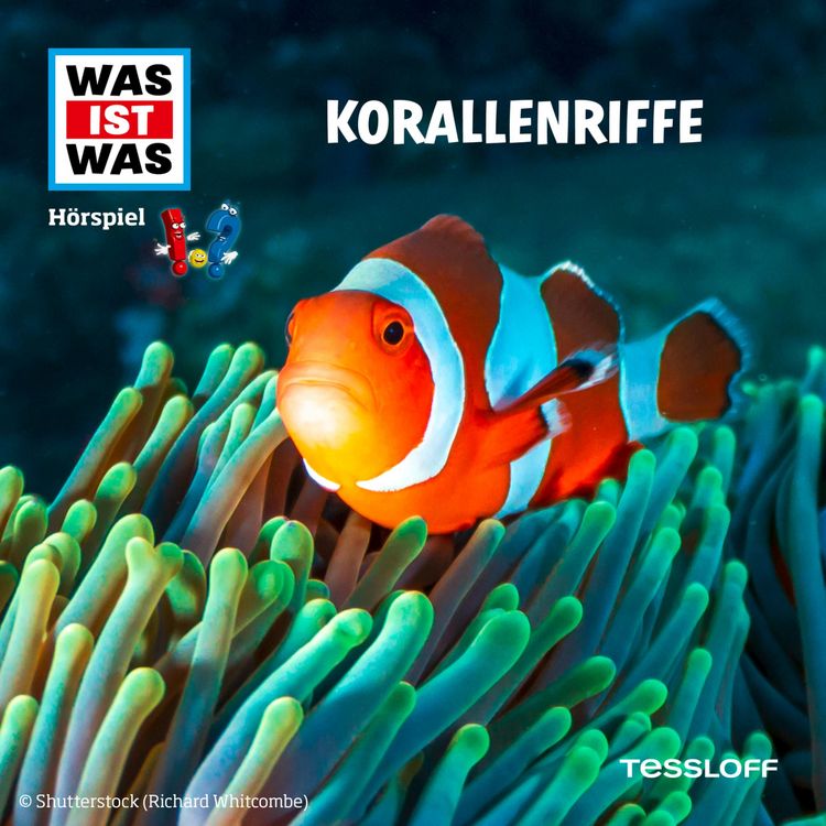 Produktbild: Korallenriffe